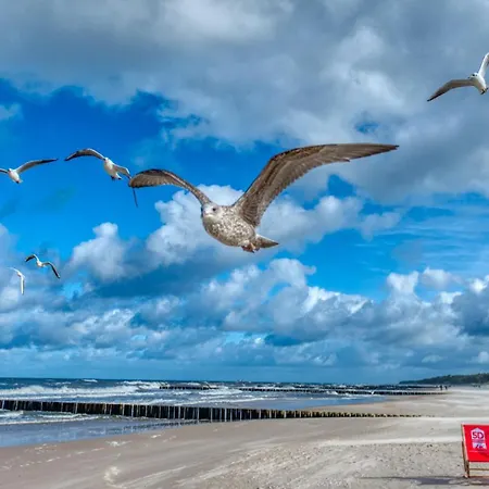 Appartement 225 Z Basenem, Sauna, Jacuzzi W Cenie - 5d *